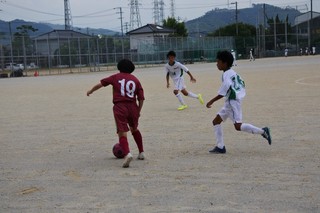 1547176180175.jpg