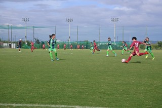 1548125740107.jpg