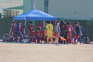 1550105197454.jpg