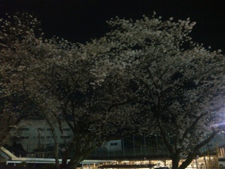 KIMG0345.jpg
